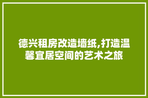 德兴租房改造墙纸,打造温馨宜居空间的艺术之旅
