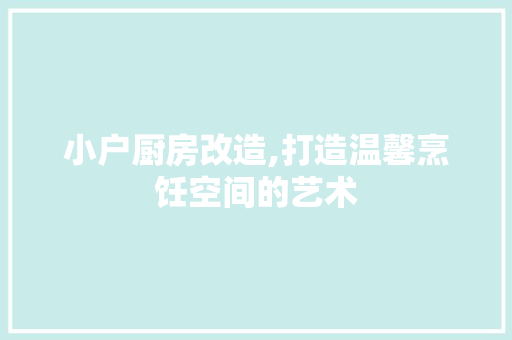 小户厨房改造,打造温馨烹饪空间的艺术