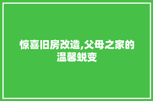 惊喜旧房改造,父母之家的温馨蜕变