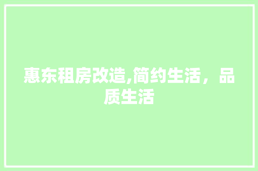 惠东租房改造,简约生活，品质生活