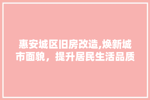 惠安城区旧房改造,焕新城市面貌，提升居民生活品质
