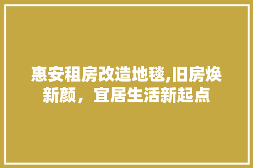 惠安租房改造地毯,旧房焕新颜，宜居生活新起点