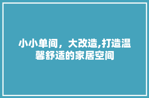 小小单间，大改造,打造温馨舒适的家居空间
