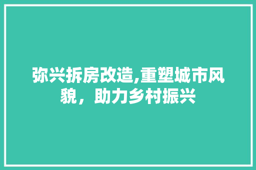 弥兴拆房改造,重塑城市风貌，助力乡村振兴