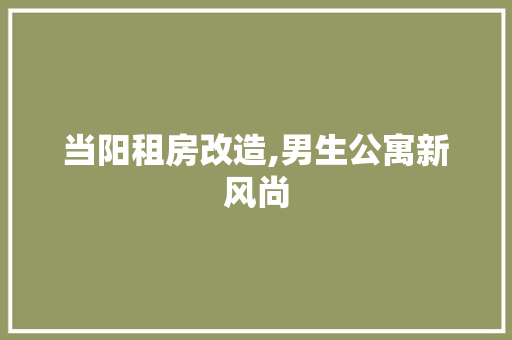 当阳租房改造,男生公寓新风尚
