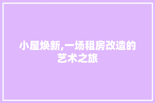 小屋焕新,一场租房改造的艺术之旅