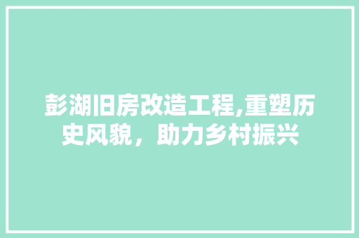 彭湖旧房改造工程,重塑历史风貌，助力乡村振兴