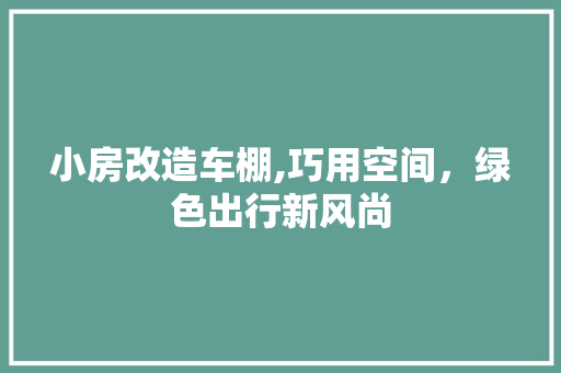 小房改造车棚,巧用空间，绿色出行新风尚