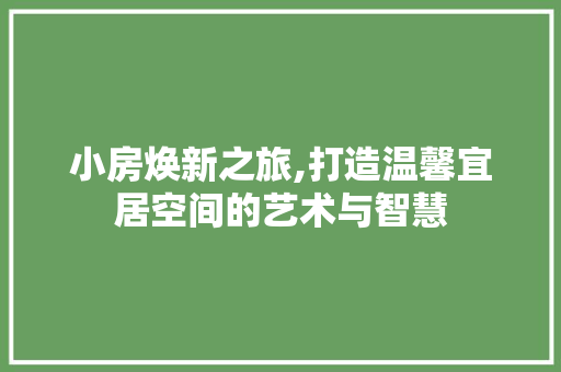 小房焕新之旅,打造温馨宜居空间的艺术与智慧