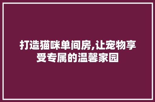 打造猫咪单间房,让宠物享受专属的温馨家园