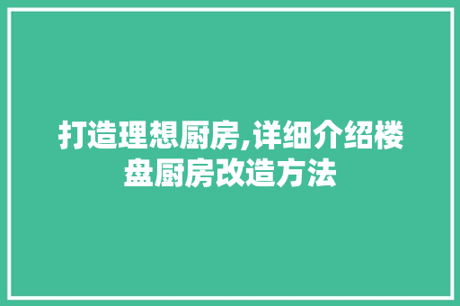 打造理想厨房,详细介绍楼盘厨房改造方法