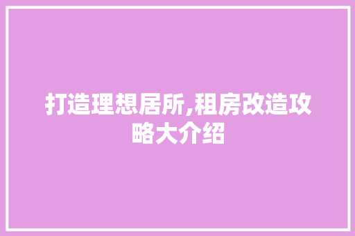 打造理想居所,租房改造攻略大介绍
