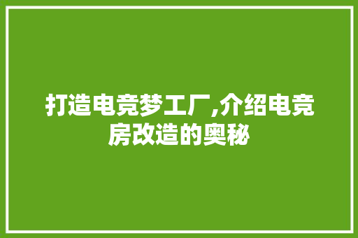 打造电竞梦工厂,介绍电竞房改造的奥秘