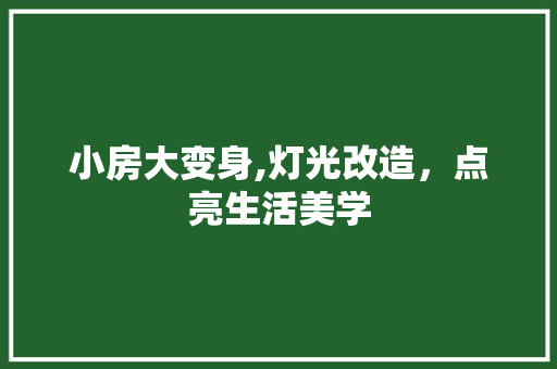 小房大变身,灯光改造，点亮生活美学