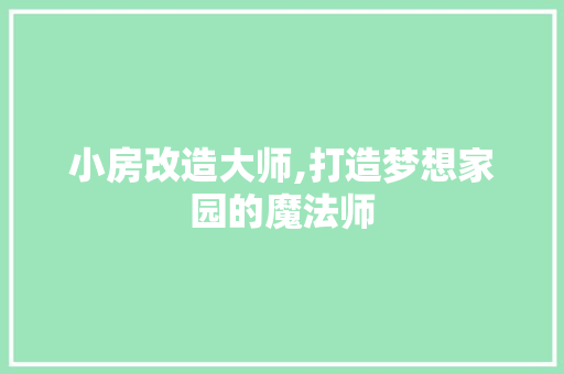 小房改造大师,打造梦想家园的魔法师