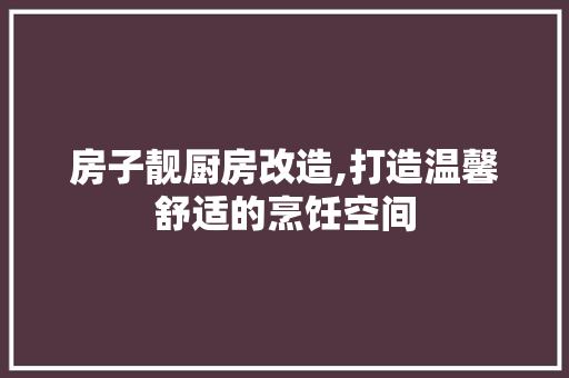 房子靓厨房改造,打造温馨舒适的烹饪空间