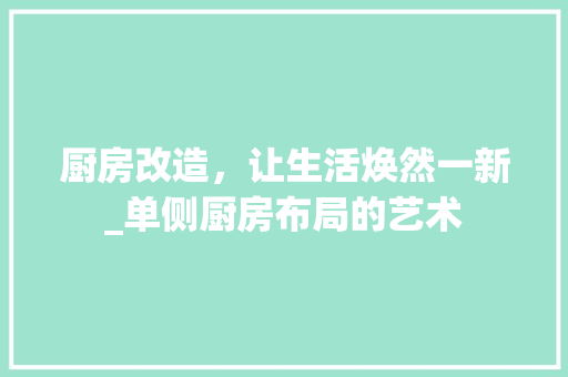 厨房改造，让生活焕然一新_单侧厨房布局的艺术