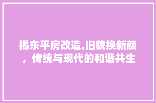 揭东平房改造,旧貌换新颜，传统与现代的和谐共生