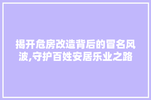 揭开危房改造背后的冒名风波,守护百姓安居乐业之路