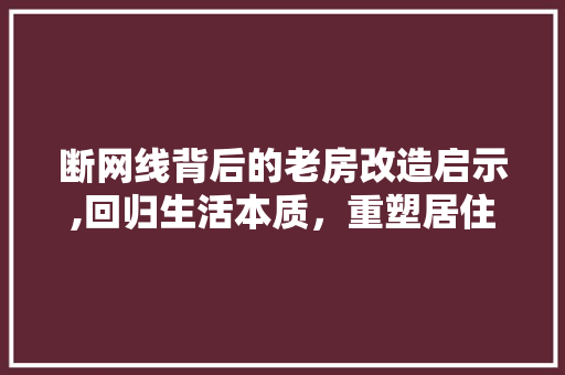 断网线背后的老房改造启示,回归生活本质，重塑居住体验