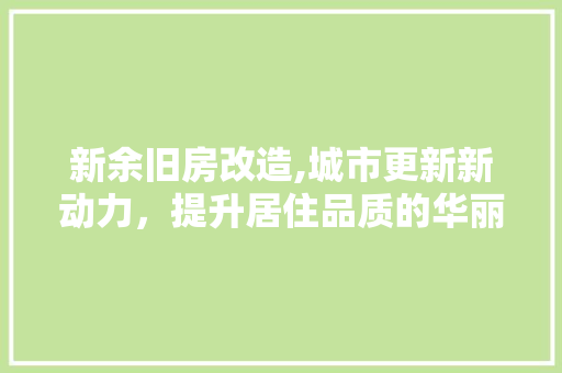 新余旧房改造,城市更新新动力，提升居住品质的华丽转身