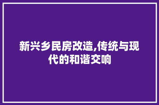 新兴乡民房改造,传统与现代的和谐交响