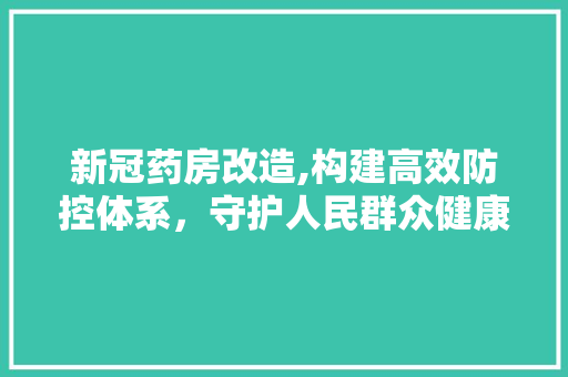 新冠药房改造,构建高效防控体系，守护人民群众健康