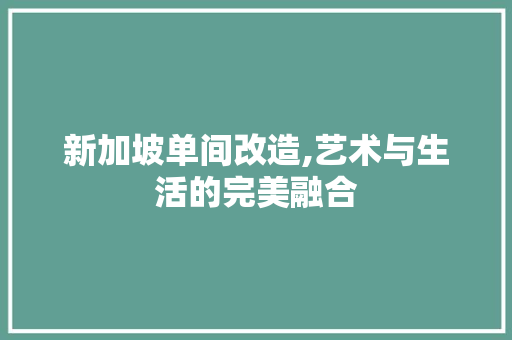 新加坡单间改造,艺术与生活的完美融合