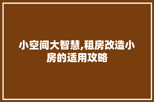 小空间大智慧,租房改造小房的适用攻略