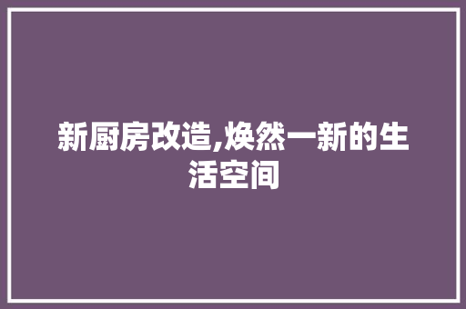 新厨房改造,焕然一新的生活空间