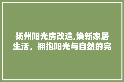 扬州阳光房改造,焕新家居生活，拥抱阳光与自然的完美融合
