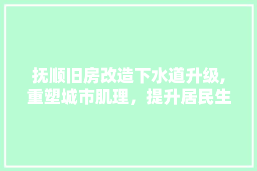 抚顺旧房改造下水道升级,重塑城市肌理，提升居民生活品质