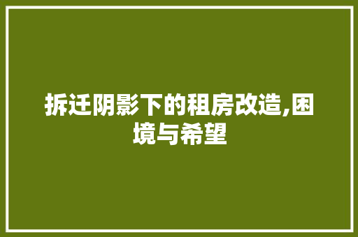 拆迁阴影下的租房改造,困境与希望