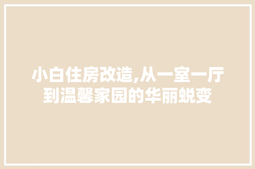 小白住房改造,从一室一厅到温馨家园的华丽蜕变
