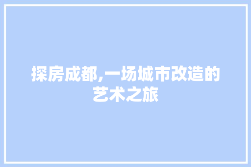 探房成都,一场城市改造的艺术之旅