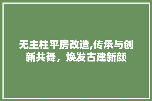 无主柱平房改造,传承与创新共舞，焕发古建新颜