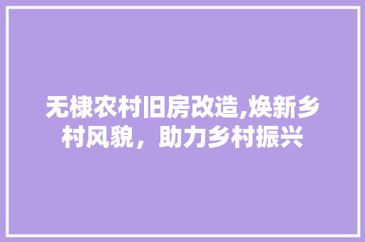 无棣农村旧房改造,焕新乡村风貌，助力乡村振兴