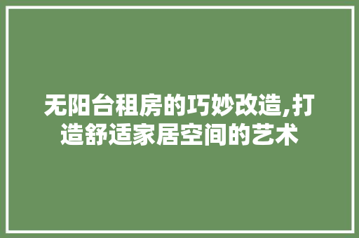 无阳台租房的巧妙改造,打造舒适家居空间的艺术