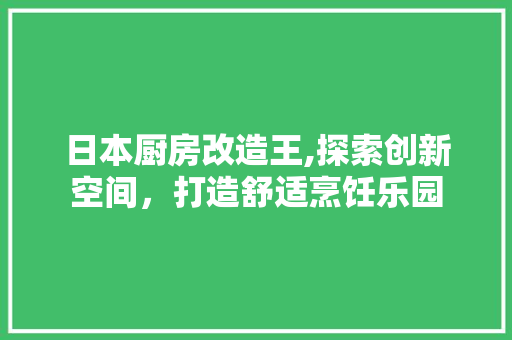 日本厨房改造王,探索创新空间，打造舒适烹饪乐园