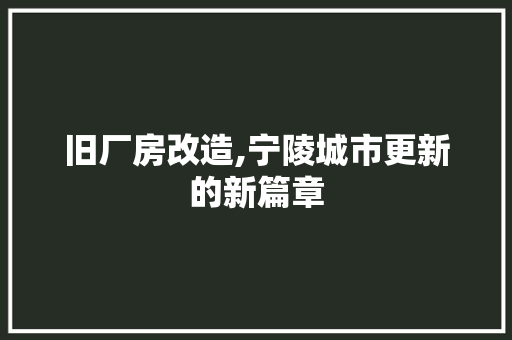 旧厂房改造,宁陵城市更新的新篇章