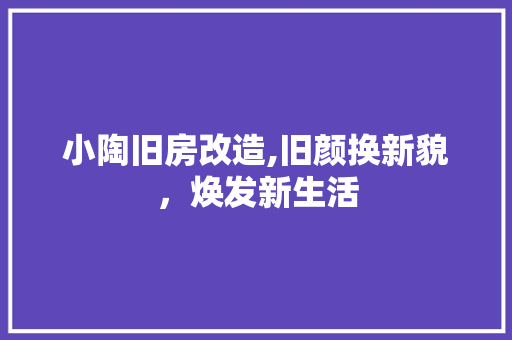 小陶旧房改造,旧颜换新貌，焕发新生活