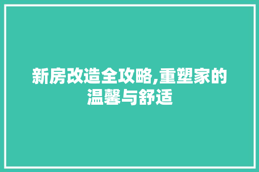 新房改造全攻略,重塑家的温馨与舒适