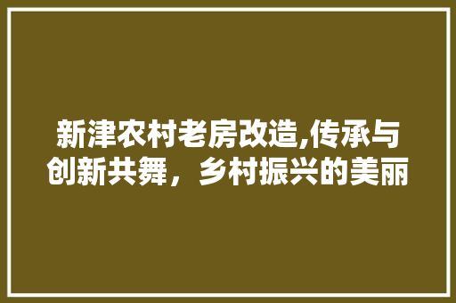 新津农村老房改造,传承与创新共舞，乡村振兴的美丽画卷
