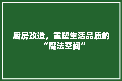 厨房改造，重塑生活品质的“魔法空间”