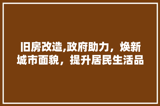 旧房改造,政府助力，焕新城市面貌，提升居民生活品质
