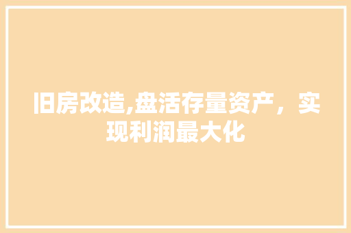 旧房改造,盘活存量资产，实现利润最大化