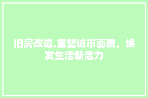 旧房改造,重塑城市面貌，焕发生活新活力