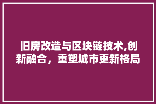 旧房改造与区块链技术,创新融合，重塑城市更新格局