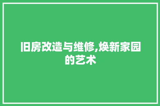旧房改造与维修,焕新家园的艺术