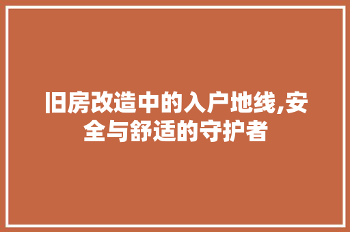 旧房改造中的入户地线,安全与舒适的守护者